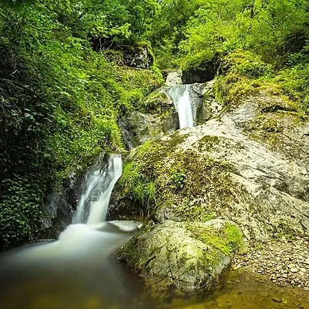 D'hotes Du Moulin De Lachaux 3*