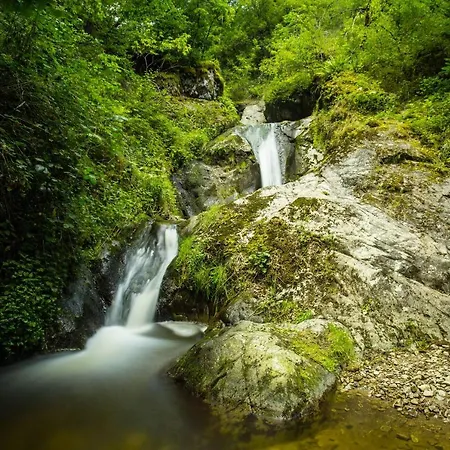 D'hotes Du Moulin De Lachaux