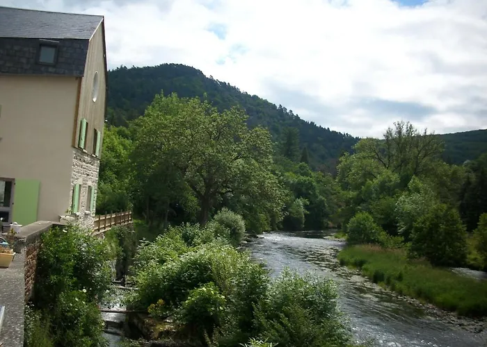 D'hotes Du Moulin De Lachaux Châteauneuf-les-Bains