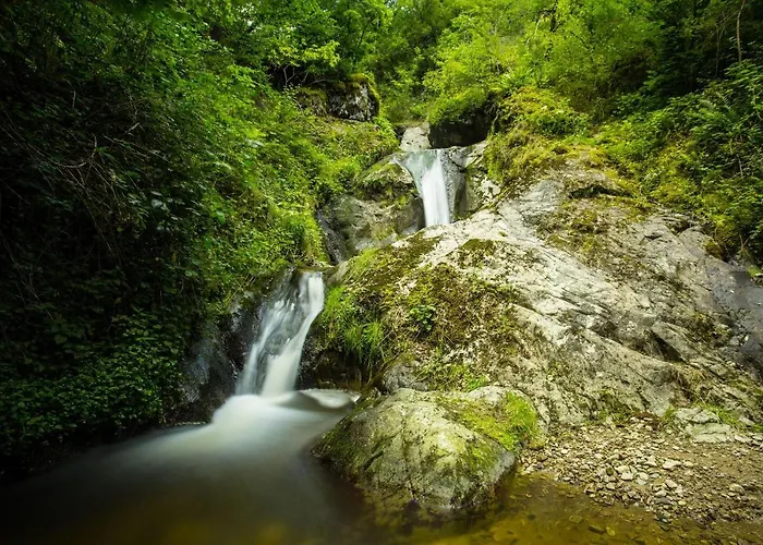 D'hotes Du Moulin De Lachaux